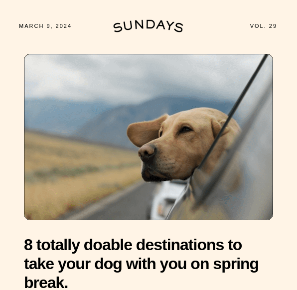 sundayshead-e1748968273477